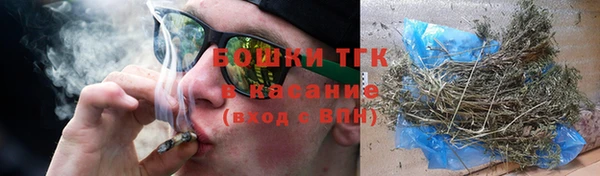 сатива Арсеньев