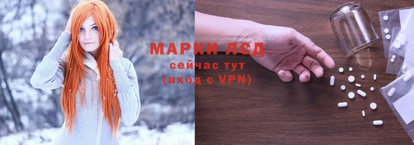 сатива Арсеньев