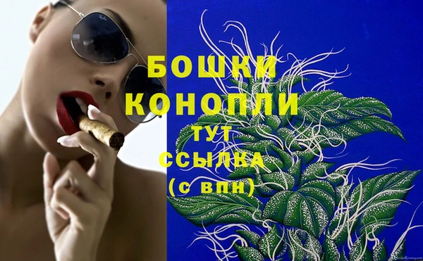 сатива Арсеньев