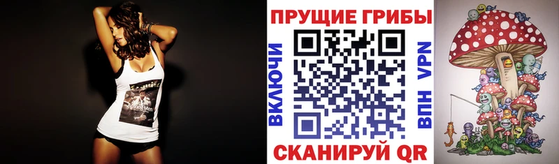 Псилоцибиновые грибы мицелий  купить   Волчанск 