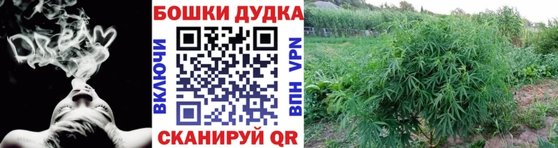 купить   Волчанск  МАРИХУАНА White Widow 